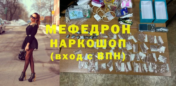 индика Алексин